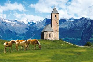 Haflinger Kirchl mit Meraner Berge