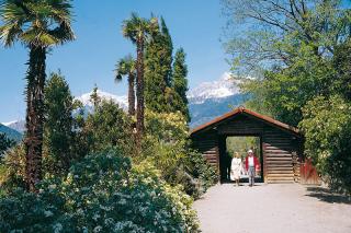 Meran Tappeinerweg zu Dorf Tirol