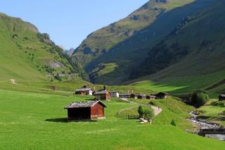 Fanealm bei Vals